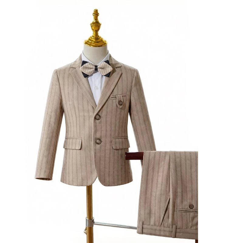 Toddler Boys Notched Lapel Suit